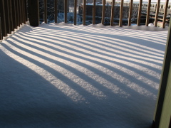 Low height look out of my upper back door