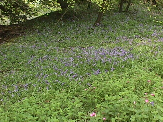 1998-05-09 09:20:52